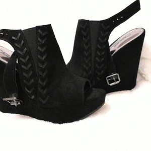 Huge Peep Toe Platform Wedges (Size 6) by Carlos Santana